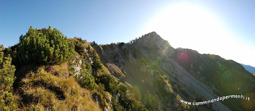 09 11568 Panoramica del Pizzo Badile.jpg